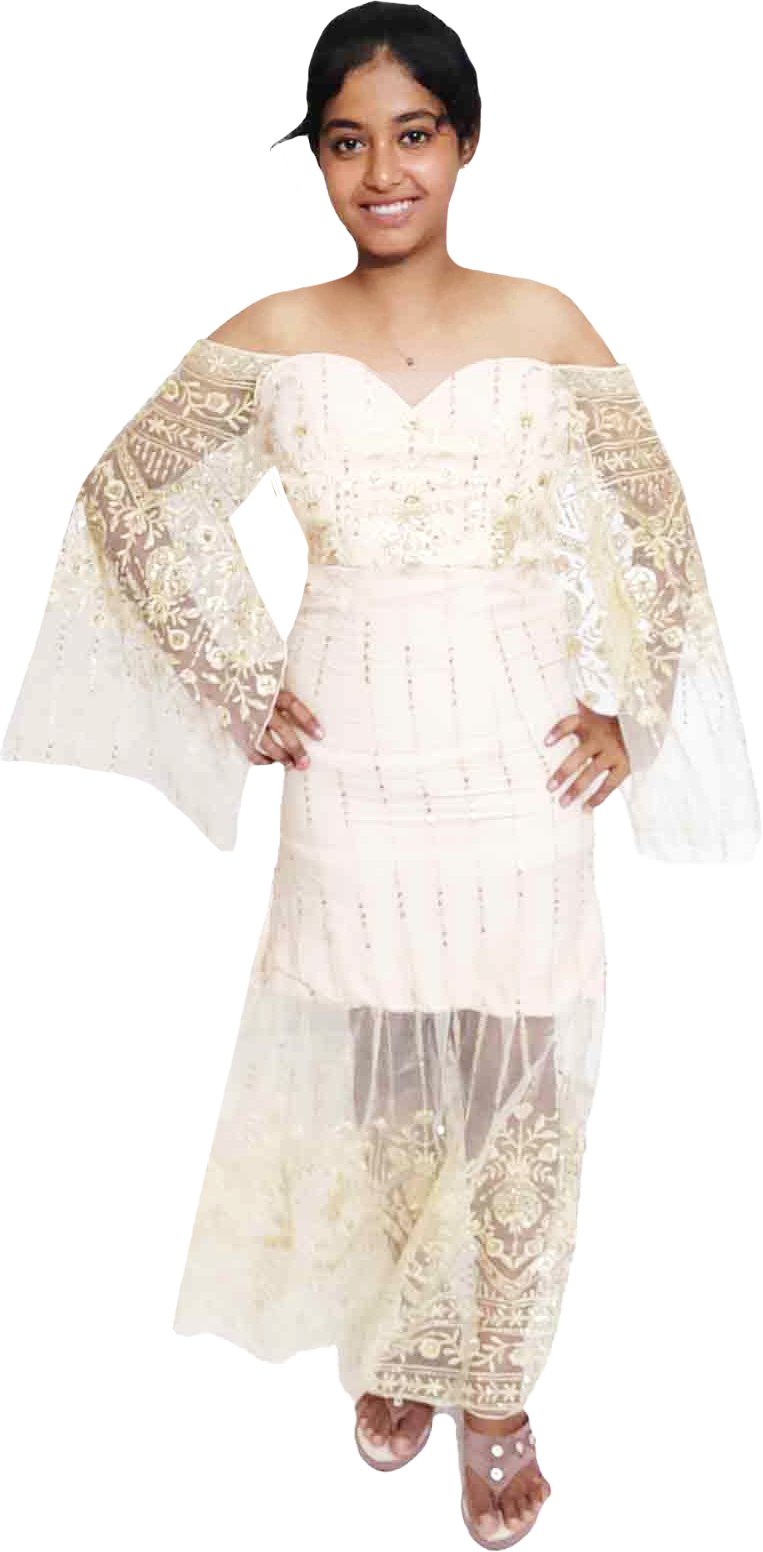 Gold Sheer Sleeves Embroidered With Sequin Decorative Beaded Evening Apparel