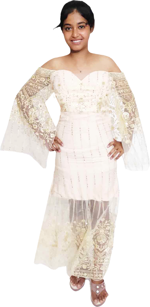 Gold Sheer Sleeves Embroidered With Sequin Decorative Beaded Evening Apparel
